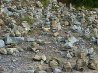 Grousse Mountain
