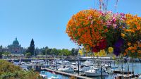 Hafen, Victoria, Vancouver Island 