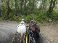 Hat Creek Ranch