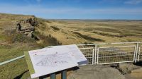Head-Smashed-In Buffalo Jump - die Büffelklippe der Blackfoot