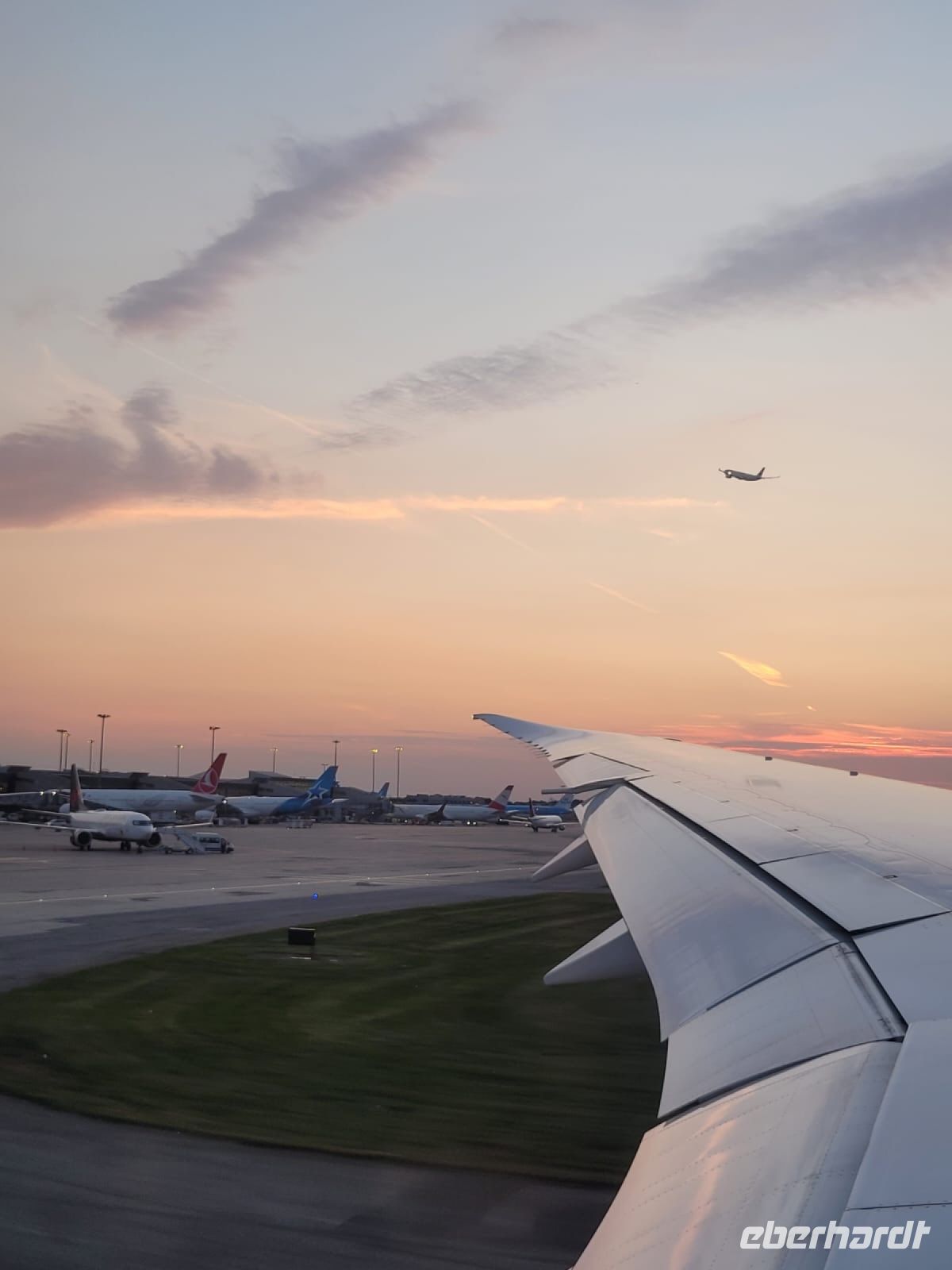 Heimflug
