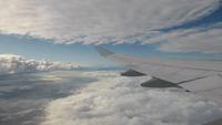 Heimflug