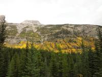 Herbstfarben