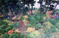 Herbstfarben