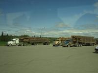 Holz, Holz, Holz