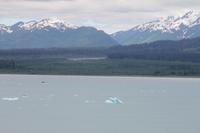 Hubbard Gletscher