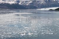 Hubbard Gletscher