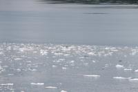 Hubbard Gletscher