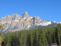 IMG_0443