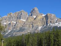 IMG_0445