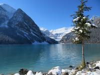 IMG_0460