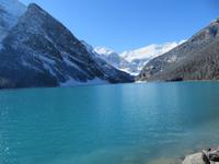 IMG_0462