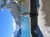 IMG_0470