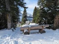 IMG_0495