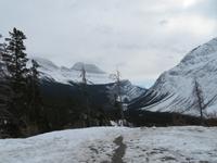 IMG_0499