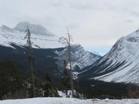 IMG_0500