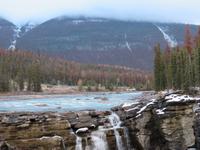 IMG_0509
