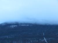 IMG_0511
