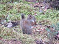 IMG_0532