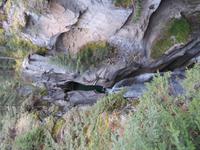 IMG_0537