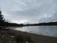 IMG_0548