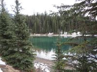 IMG_0555