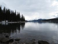 IMG_0560