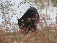 IMG_0568