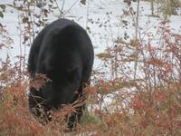 IMG_0579