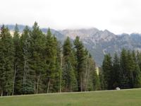 IMG_0602
