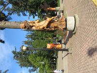 IMG_0610