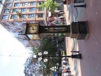 IMG_0617