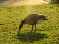 IMG_0658