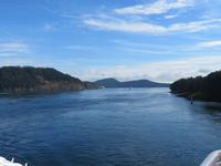 IMG_0661