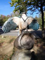 IMG_20171002_153342