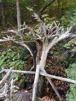 IMG_20171002_154601
