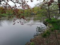 IMG_20190602_091151