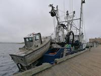 IMG_20190602_093810
