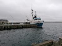 IMG_20190602_093812