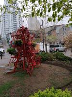 IMG_20190602_094133