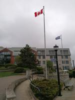 IMG_20190602_094302