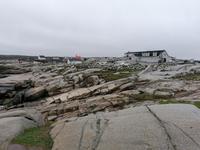 IMG_20190602_130812