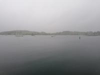 IMG_20190602_152850