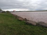 IMG_20190603_130047