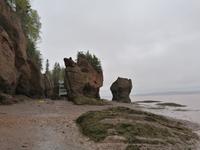 IMG_20190603_155441