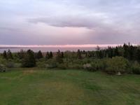 IMG_20190603_204149