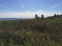 IMG_20190604_101435
