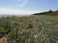 IMG_20190604_102351