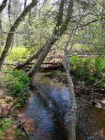 IMG_20190604_142441