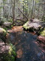 IMG_20190604_142836